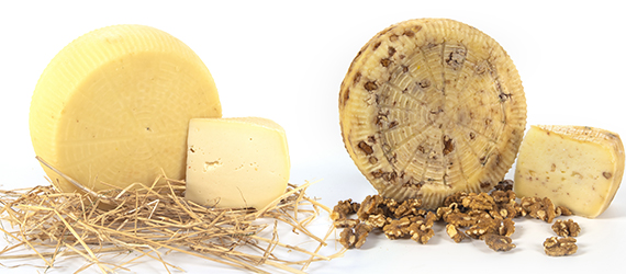 Caseificio La Valle Martina Franca