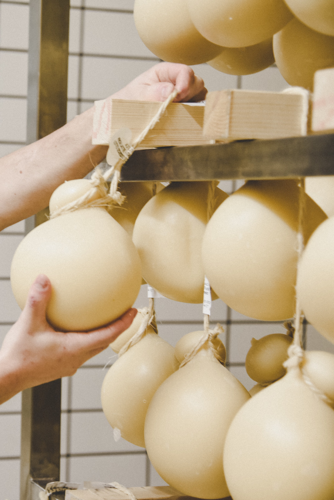 Caseificio La Valle Martina Franca