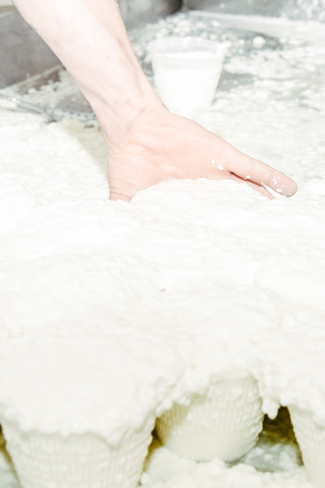 Caseificio La Valle Martina Franca