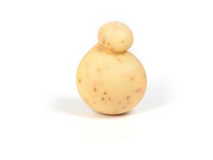 Il Caciocavallo al Peperoncino Piccante – Caseificio La Valle