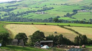 Murgia sud orientale