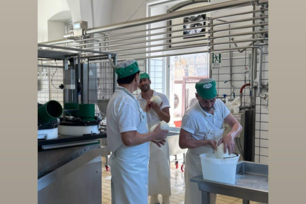 Il prezioso tesoro del tempo: l'arte dei casari pugliesi