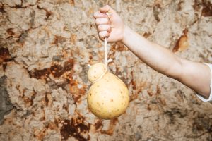 Formaggi stagionati pugliesi: protagonisti di gennaio