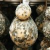 Il caciocavallo: un grande classico della tradizione casearia italiana