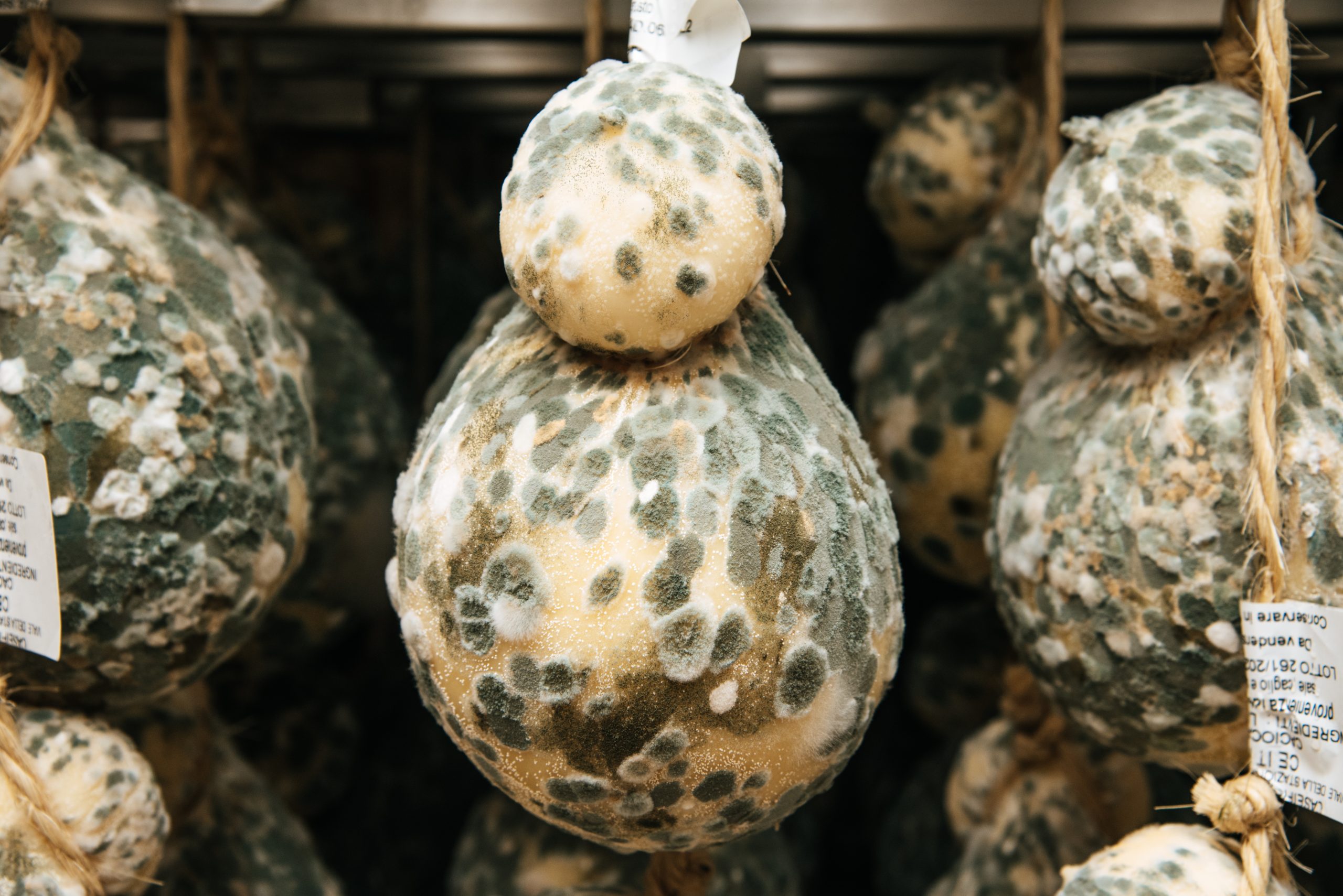 Il caciocavallo: un grande classico della tradizione casearia italiana