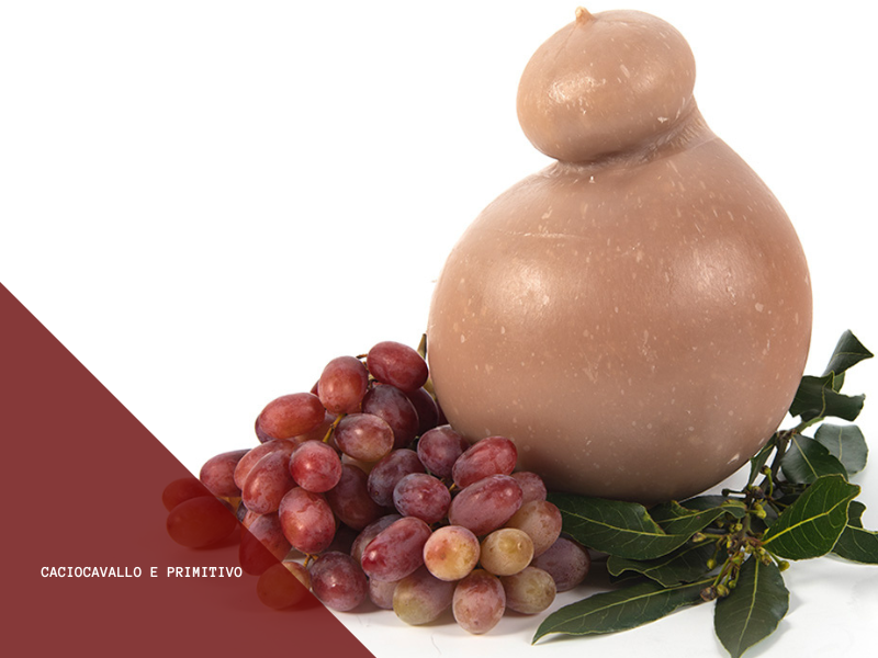 Il Caciocavallo al Vino Rosso Primitivo è una chicca tutta pugliese, un incontro armonioso tra due simboli del territorio: il formaggio artigianale e il vino iconico.